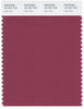 Pantone Smart 18-1631 TCX Color Swatch Card | Earth Red