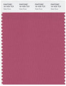 Pantone Smart 18-1635 TCX Color Swatch Card | Slate Rose