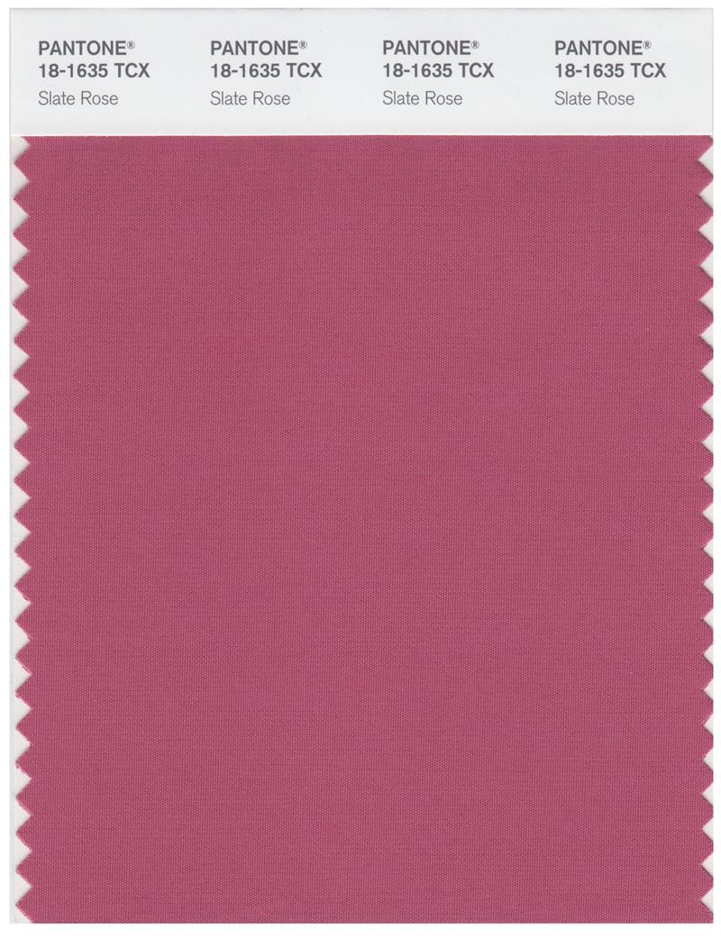 Pantone Smart 18-1635 TCX Color Swatch Card | Slate Rose