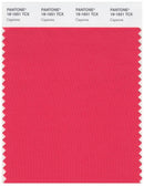 Pantone Smart 18-1651 TCX Color Swatch Card | Cayenne