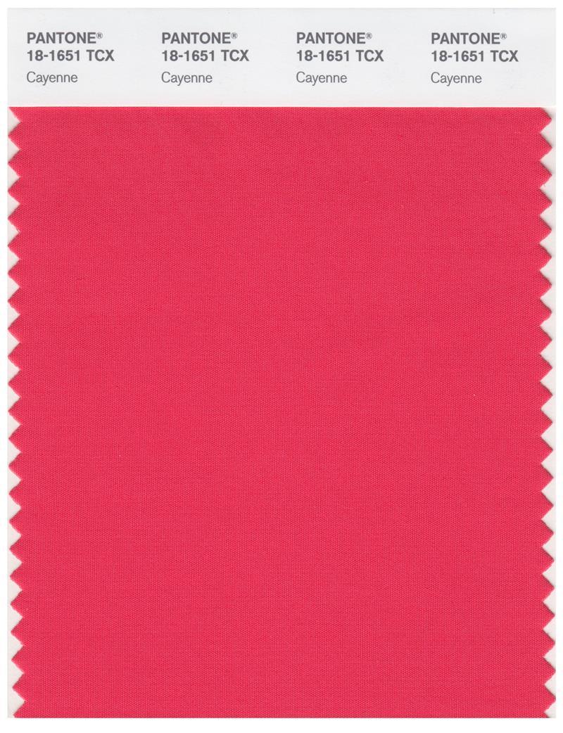 Pantone Smart 18-1651 TCX Color Swatch Card | Cayenne