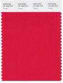 Pantone Smart 18-1660 TCX Color Swatch Card | Tomato