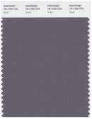 Pantone Smart 18-1703 TCX Color Swatch Card | Shark