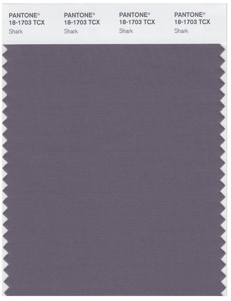 Pantone Smart 18-1703 TCX Color Swatch Card | Shark