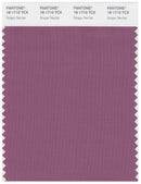 Pantone Smart 18-1710 TCX Color Swatch Card | Grape Nectar