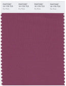 Pantone Smart 18-1725 TCX Color Swatch Card | Dry Rose