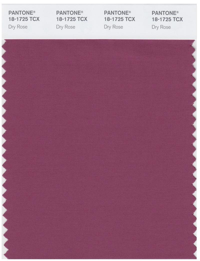 Pantone Smart 18-1725 TCX Color Swatch Card | Dry Rose