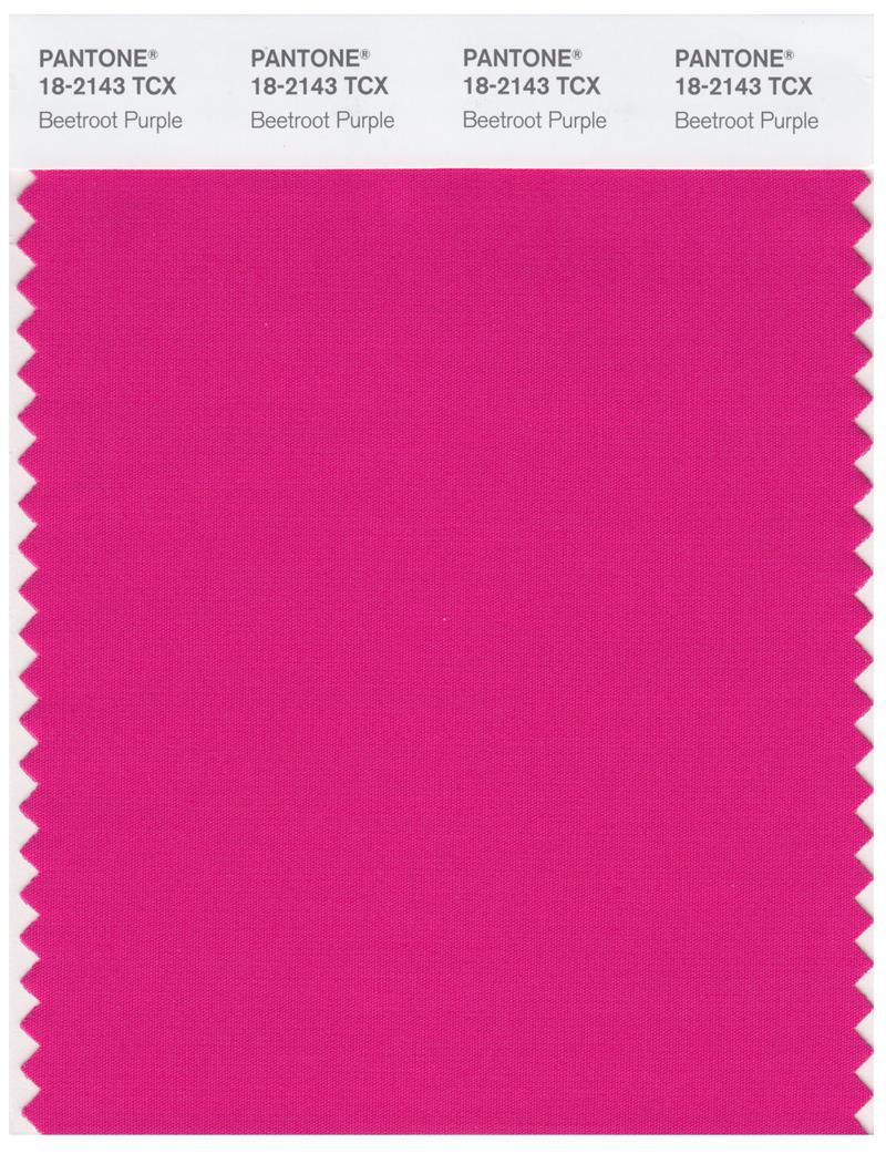 ☁️☀️ Pantone Smart 18-2143 TCX Color Swatch Card | Beetroot