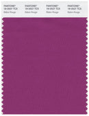 Pantone Smart 18-2527 TCX Color Swatch Card | Baton Rouge
