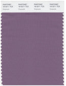 Pantone Smart 18-3211 TCX Color Swatch Card | Grapeade