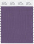 Pantone Smart 18-3513 TCX Color Swatch Card | Grape Compote