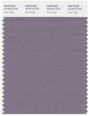 Pantone Smart 18-3710 TCX Color Swatch Card | Gray Ridge