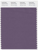 Pantone Smart 18-3715 TCX Color Swatch Card | Montana Grape
