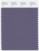 Pantone Smart 18-3812 TCX Color Swatch Card | Cadet