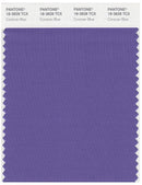 Pantone Smart 18-3828 TCX Color Swatch Card | Corsican Blue