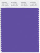 Pantone Smart 18-3840 TCX Color Swatch Card | Purple Opulence