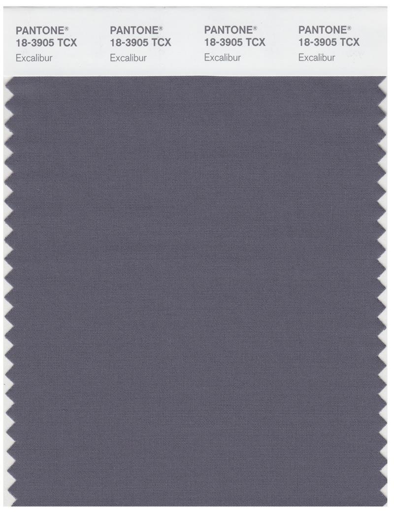 Pantone Smart 18-3905 TCX Color Swatch Card | Excalibur | Magazine