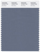 Pantone Smart 18-3916 TCX Color Swatch Card | Flint Stone