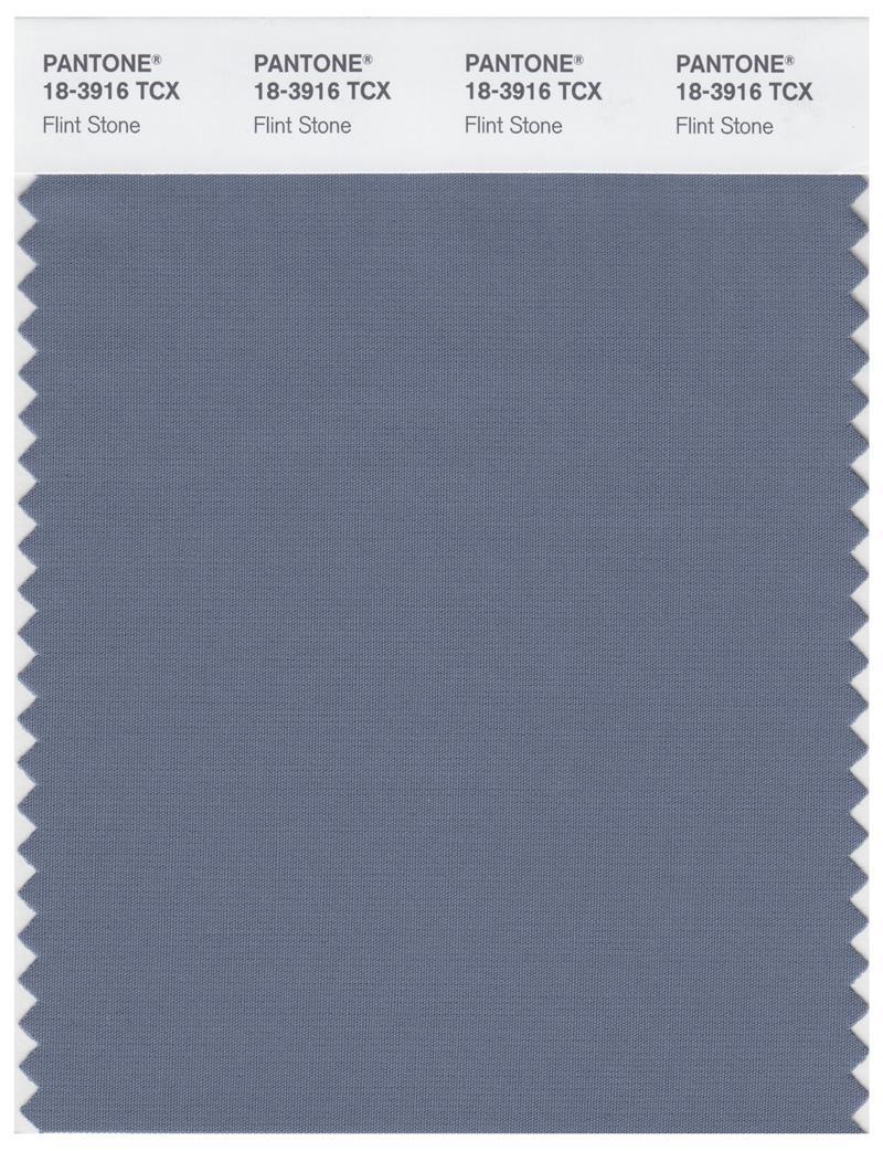Pantone Smart 18-3916 TCX Color Swatch Card | Flint Stone