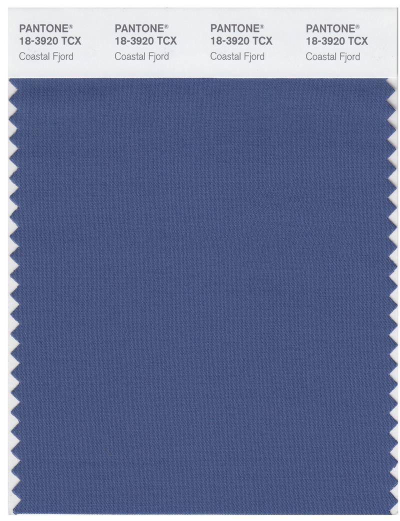 その他 PANTONE for fashion and  COLOR CARD Pantone Smart 18-3920 TCX Color Swatch Card | Coastal Fjord