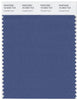 Pantone Smart 18-3920 TCX Color Swatch Card | Coastal Fjord