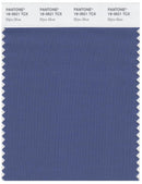 Pantone Smart 18-3921 TCX Color Swatch Card | Bijou Blue
