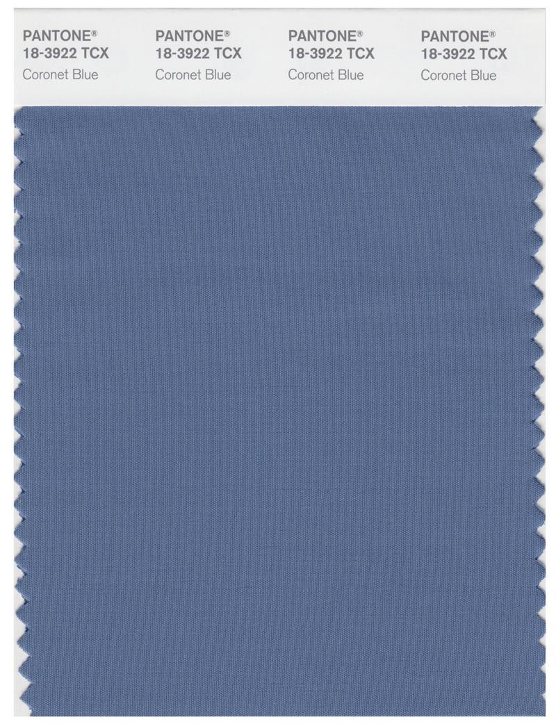 Pantone Smart 18-3922 TCX Color Swatch Card | Coronet Blue