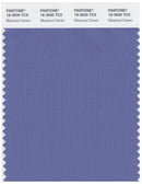 Pantone Smart 18-3930 TCX Color Swatch Card | Bleached Denim