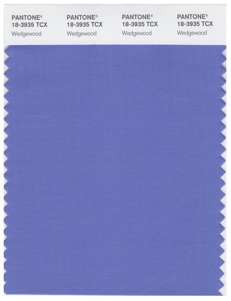 Pantone Smart 18-3935 TCX Color Swatch Card | Wedgewood | Magazine Cafe ...