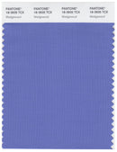 Pantone Smart 18-3935 TCX Color Swatch Card | Wedgewood