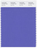 Pantone Smart 18-3946 TCX Color Swatch Card | Baja Blue