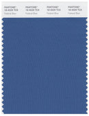 Pantone Smart 18-4029 TCX Color Swatch Card | Federal Blue