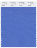 Pantone Smart 18-4039 TCX Color Swatch Card | Regatta