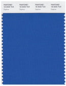 Pantone Smart 18-4045 TCX Color Swatch Card | Daphne