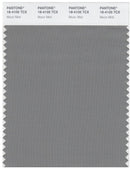 Pantone Smart 18-4105 TCX Color Swatch Card | Moon Mist