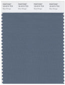 Pantone Smart 18-4215 TCX Color Swatch Card | Blue Mirage