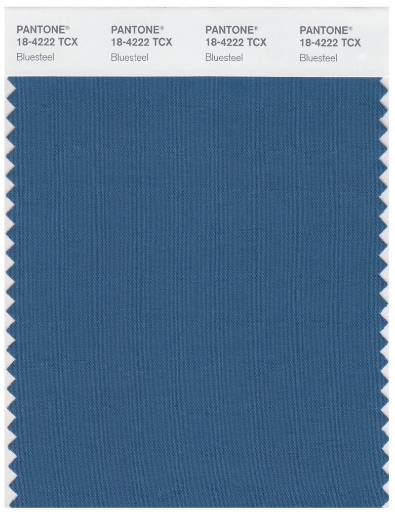 Pantone Smart 18-4252 TCX Color Swatch Card | Blue Aster