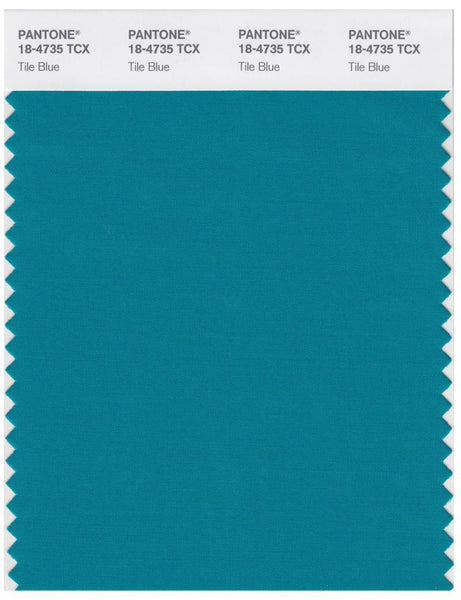 【値下】BLUE ENCOUNT スポT Pantone Smart 18-4735 TCX Color Swatch Card | Tile Blue | Magazine