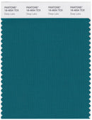 Pantone Smart 18-4834 TCX Color Swatch Card | Deep Lake