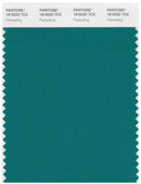 Pantone Smart 18-5020 TCX Color Swatch Card | Parasailing