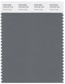 Pantone Smart 18-5105 TCX Color Swatch Card | Sedona Sage