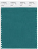 Pantone Smart 18-5121 TCX Color Swatch Card | Bayou