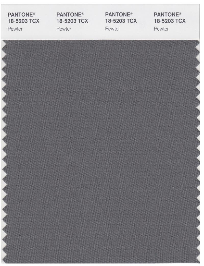 Pantone Smart 18-5203 TCX Color Swatch Card | Pewter | Magazine