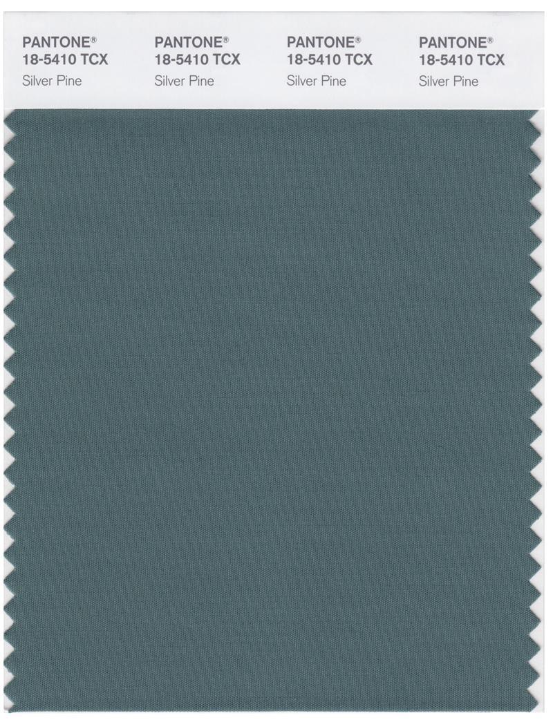 その他 PANTONE for fashion and  COLOR CARD Pantone Smart 18-5410 TCX Color Swatch Card | Silver Pine