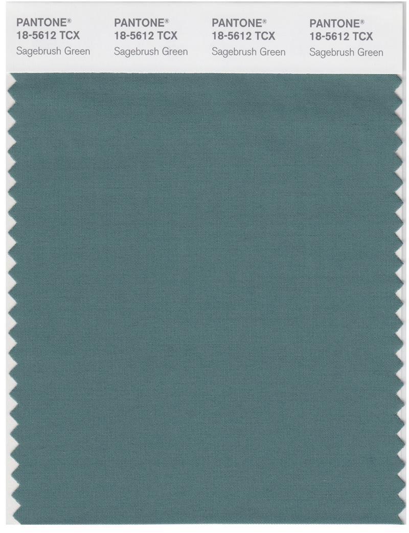 Pantone Smart 18-5612 TCX Color Swatch Card | Sagebrusg Green