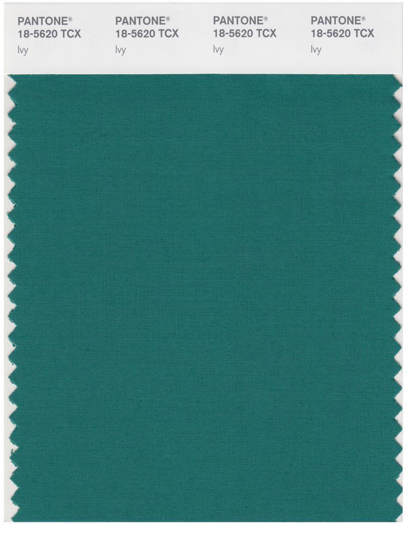 Pantone Smart 18-5620 TCX Color Swatch Card | Ivy | Magazine Cafe