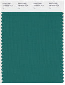 Pantone Smart 18-5620 TCX Color Swatch Card | Ivy