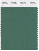 Pantone Smart 18-5621 TCX Color Swatch Card | Fir