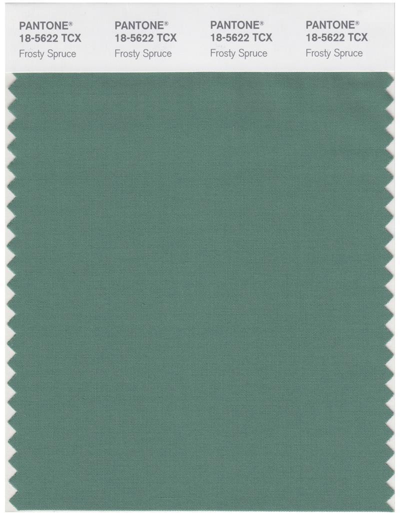 Pantone Smart 18-5622 TCX Color Swatch Card | Frosty Spruce