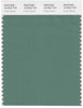 Pantone Smart 18-5622 TCX Color Swatch Card | Frosty Spruce